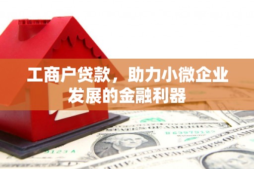 西区工商户贷款，助力小微企业发展的金融利器