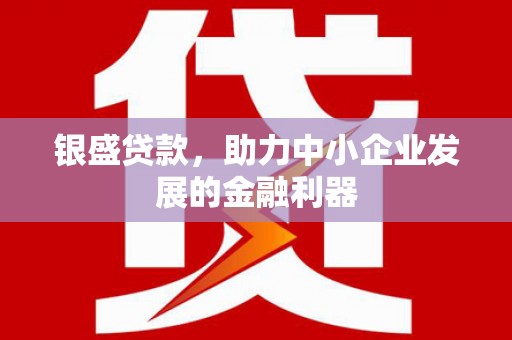 西区银盛贷款，助力中小企业发展的金融利器