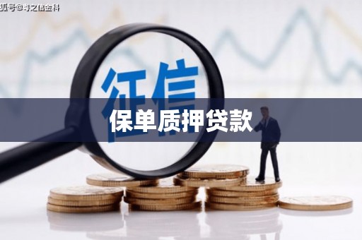西区保单质押贷款