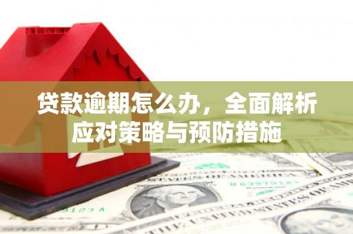 西区贷款逾期怎么办，全面解析应对策略与预防措施