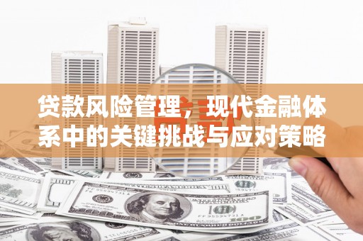 西区贷款风险管理，现代金融体系中的关键挑战与应对策略