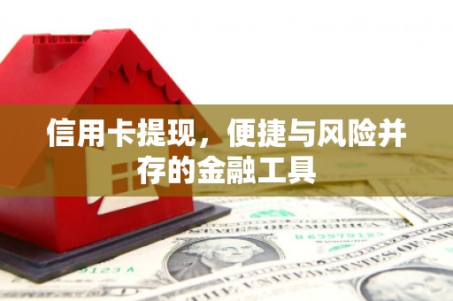 西区信用卡提现，便捷与风险并存的金融工具