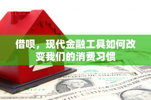 西区借呗，现代金融工具如何改变我们的消费习惯