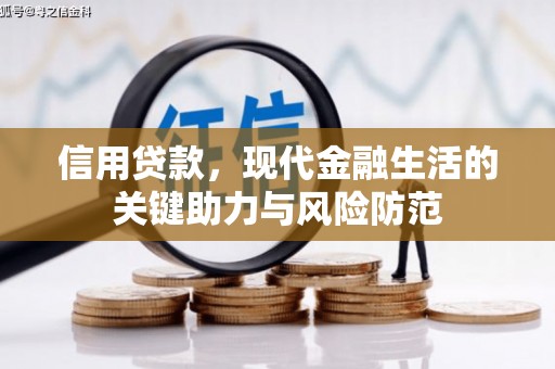 西区信用贷款，现代金融生活的关键助力与风险防范