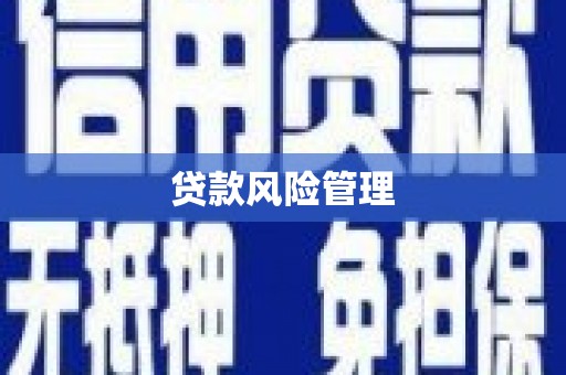 西区贷款风险管理