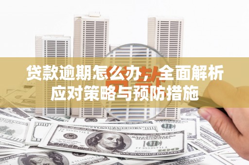 西区贷款逾期怎么办，全面解析应对策略与预防措施
