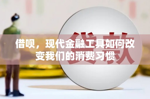 西区借呗，现代金融工具如何改变我们的消费习惯