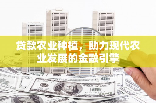 西区贷款农业种植，助力现代农业发展的金融引擎