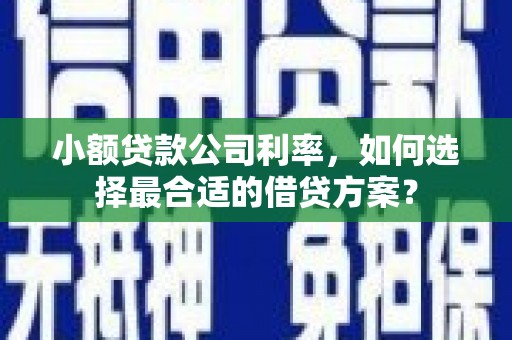 西区小额贷款公司利率，如何选择最合适的借贷方案？