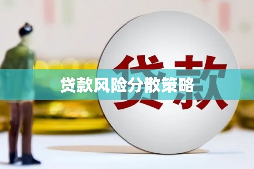 西区贷款风险分散策略