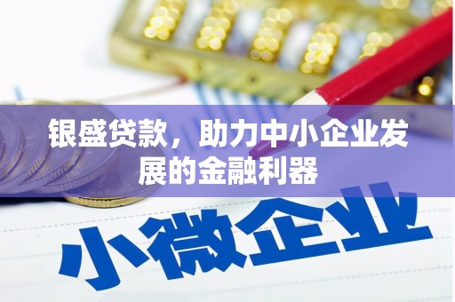 西区银盛贷款，助力中小企业发展的金融利器