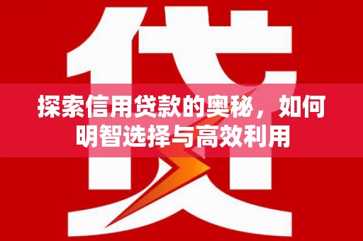 西区探索信用贷款的奥秘，如何明智选择与高效利用