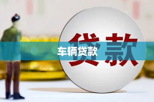 西区车辆贷款
