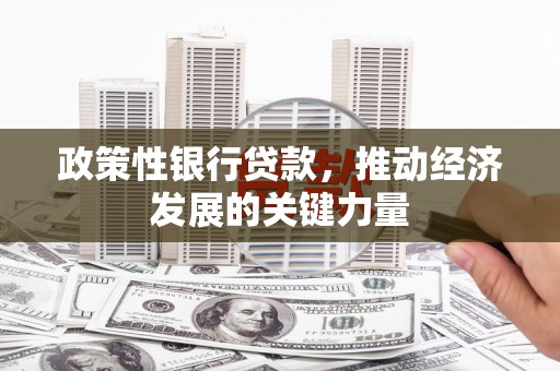 西区政策性银行贷款，推动经济发展的关键力量