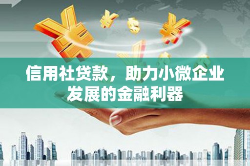 西区信用社贷款，助力小微企业发展的金融利器