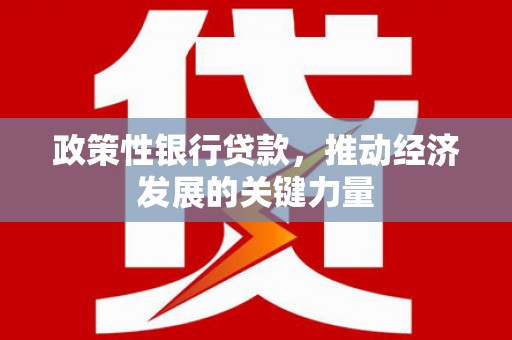 西区政策性银行贷款，推动经济发展的关键力量