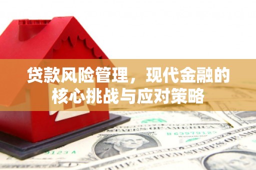 西区贷款风险管理，现代金融的核心挑战与应对策略