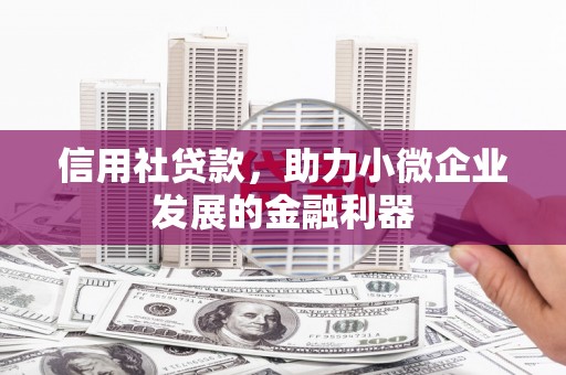 西区信用社贷款，助力小微企业发展的金融利器