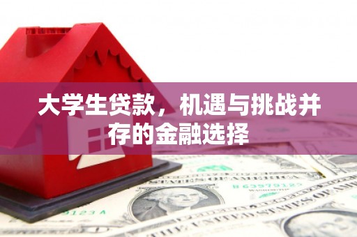 西区大学生贷款，机遇与挑战并存的金融选择
