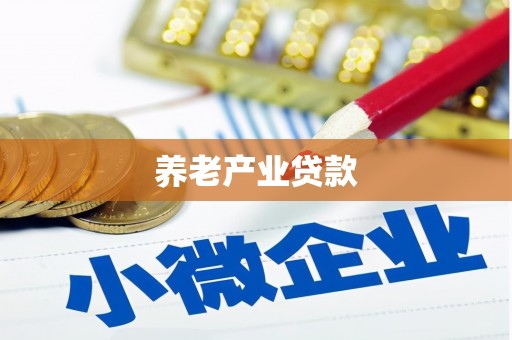 西区养老产业贷款