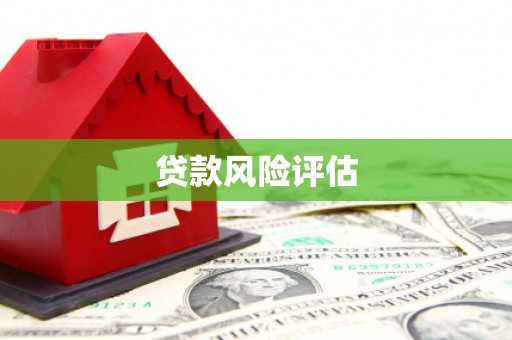 西区贷款风险评估