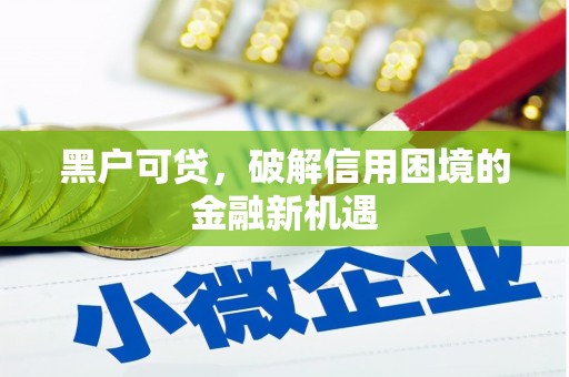 西区黑户可贷，破解信用困境的金融新机遇