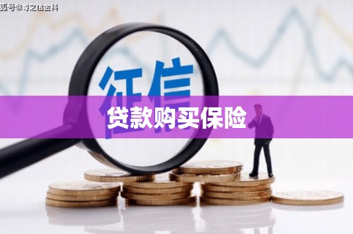 西区贷款购买保险