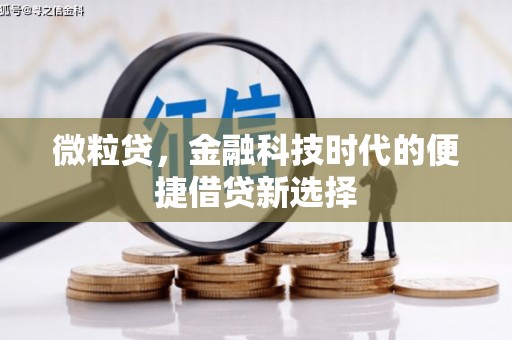 西区微粒贷，金融科技时代的便捷借贷新选择