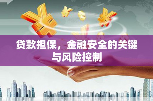 西区贷款担保，金融安全的关键与风险控制