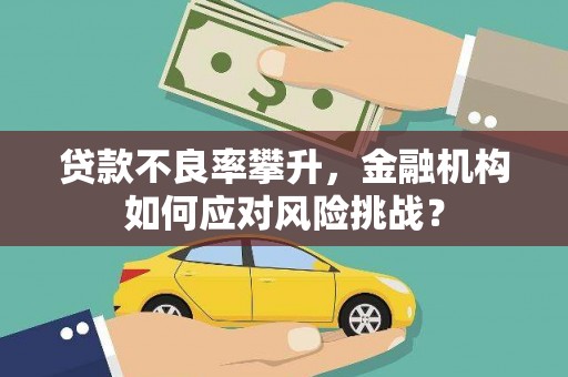 西区贷款不良率攀升，金融机构如何应对风险挑战？