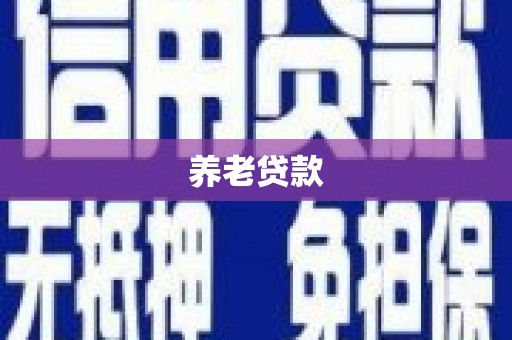 西区养老贷款