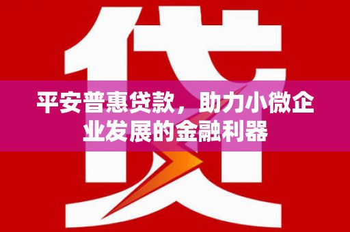 西区平安普惠贷款，助力小微企业发展的金融利器