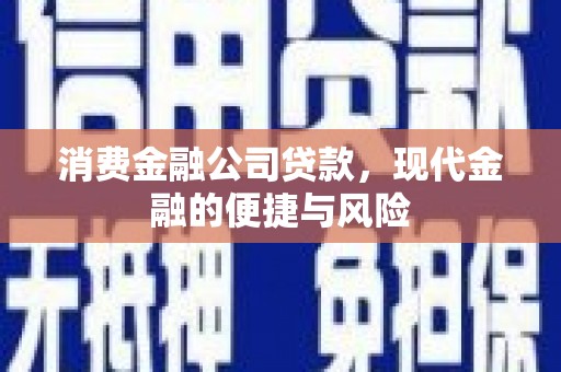 西区消费金融公司贷款，现代金融的便捷与风险