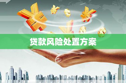 西区贷款风险处置方案