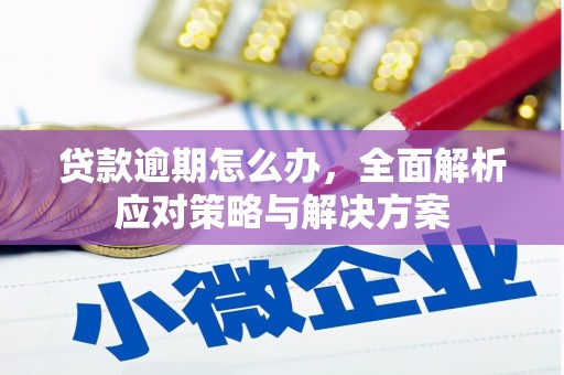 西区贷款逾期怎么办，全面解析应对策略与解决方案