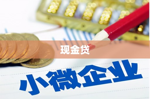 西区现金贷
