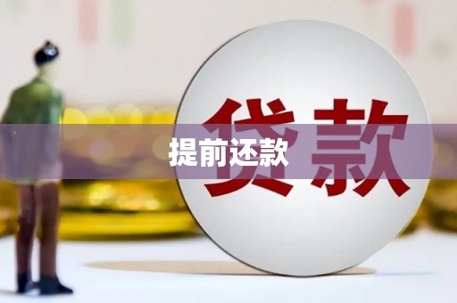 西区提前还款