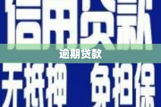 西区逾期贷款