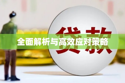 西区全面解析与高效应对策略