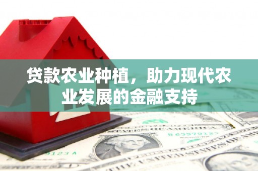 西区贷款农业种植，助力现代农业发展的金融支持